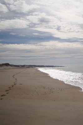 Le Carême est une marche vers<br> une Bonne Nouvelle